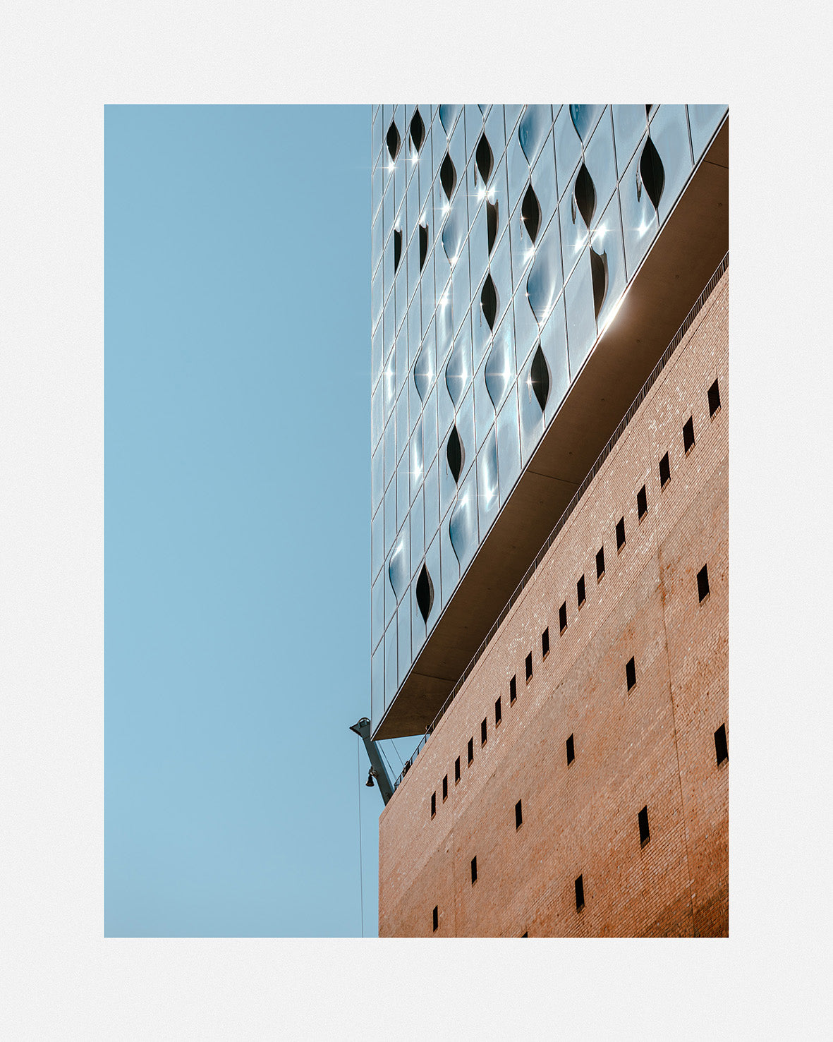 elphi portrait