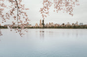 JKO reservoir