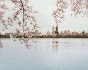 JKO reservoir