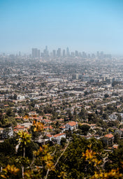 los angeles skyline view fom runyon canyon.