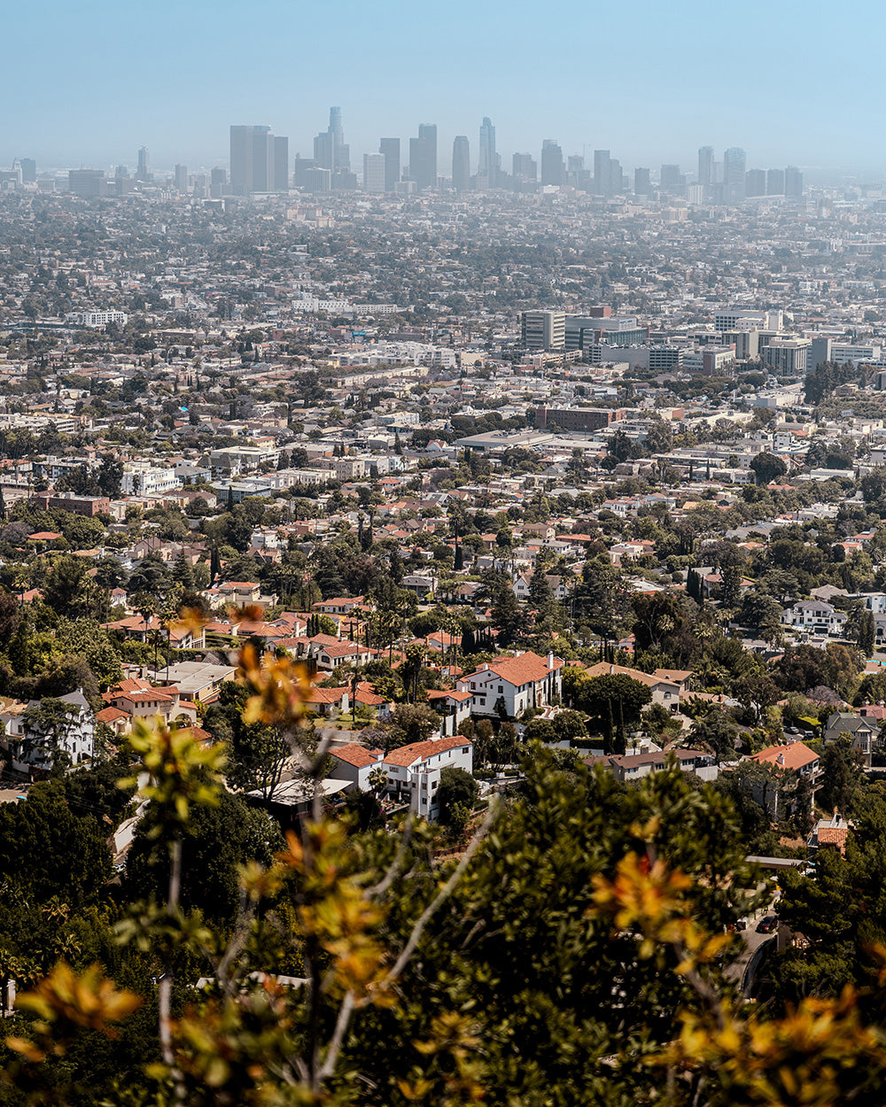 los angeles view