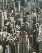 new yorker