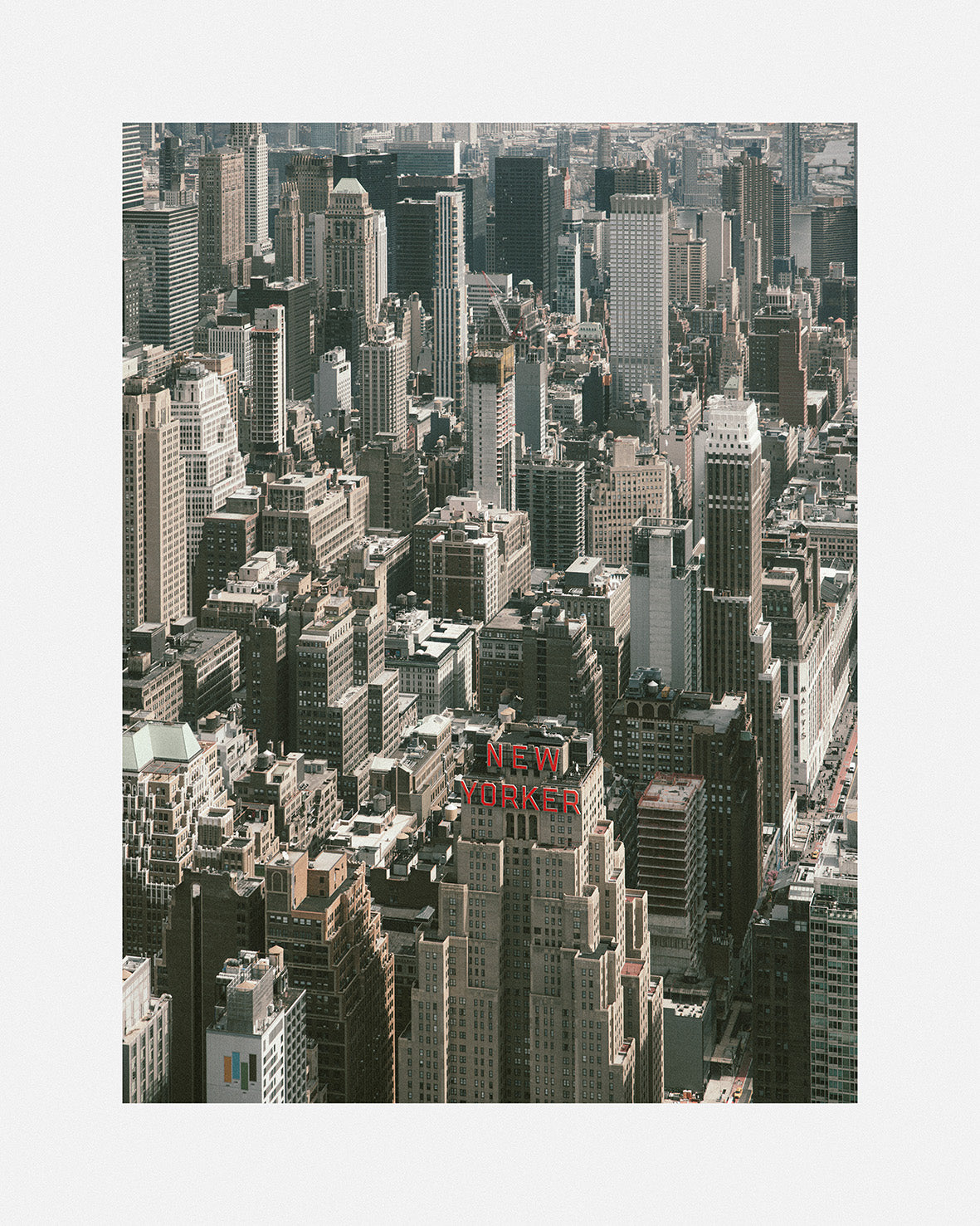 new yorker