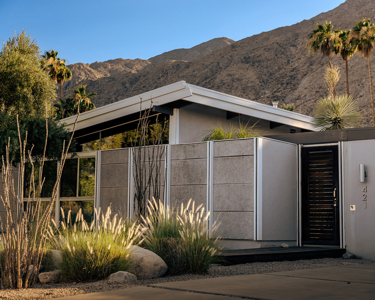 palm springs house pt.1