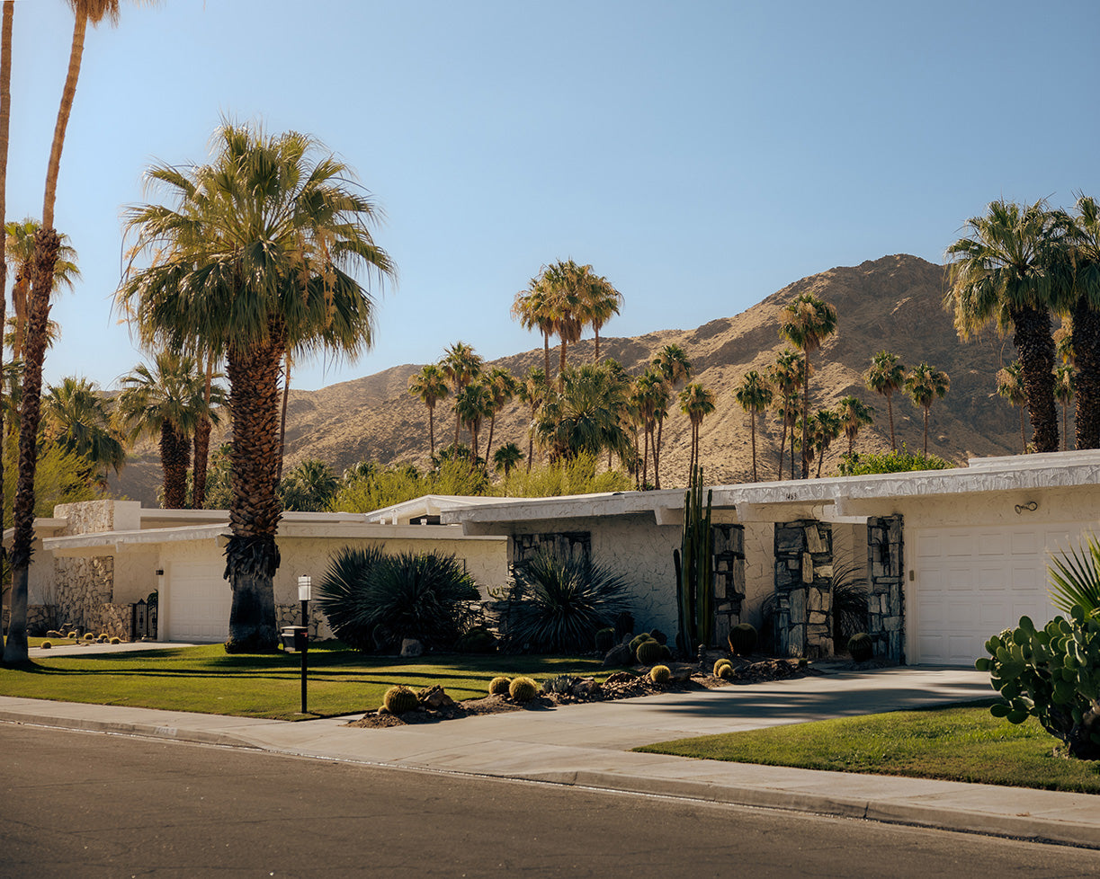palm springs street pt.2