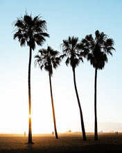 venice beach sunset pt.2