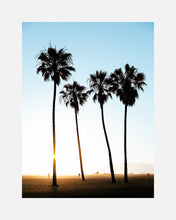venice beach sunset pt.2