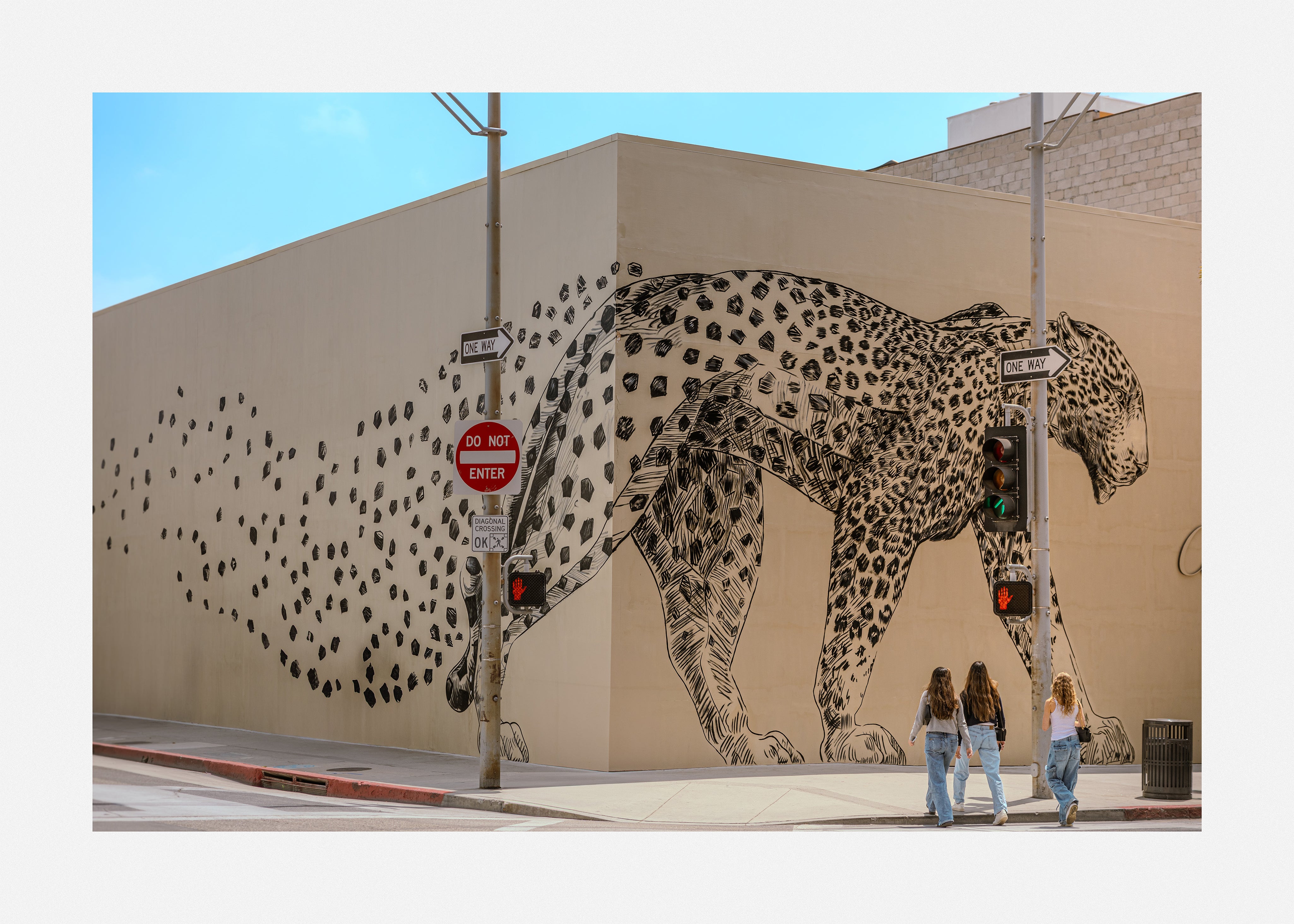 Discover unique american street art with this limited photo edition.
