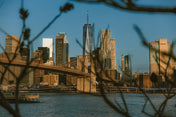 brooklyn bridge mornings
