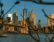 brooklyn bridge mornings