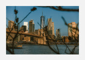 brooklyn bridge mornings