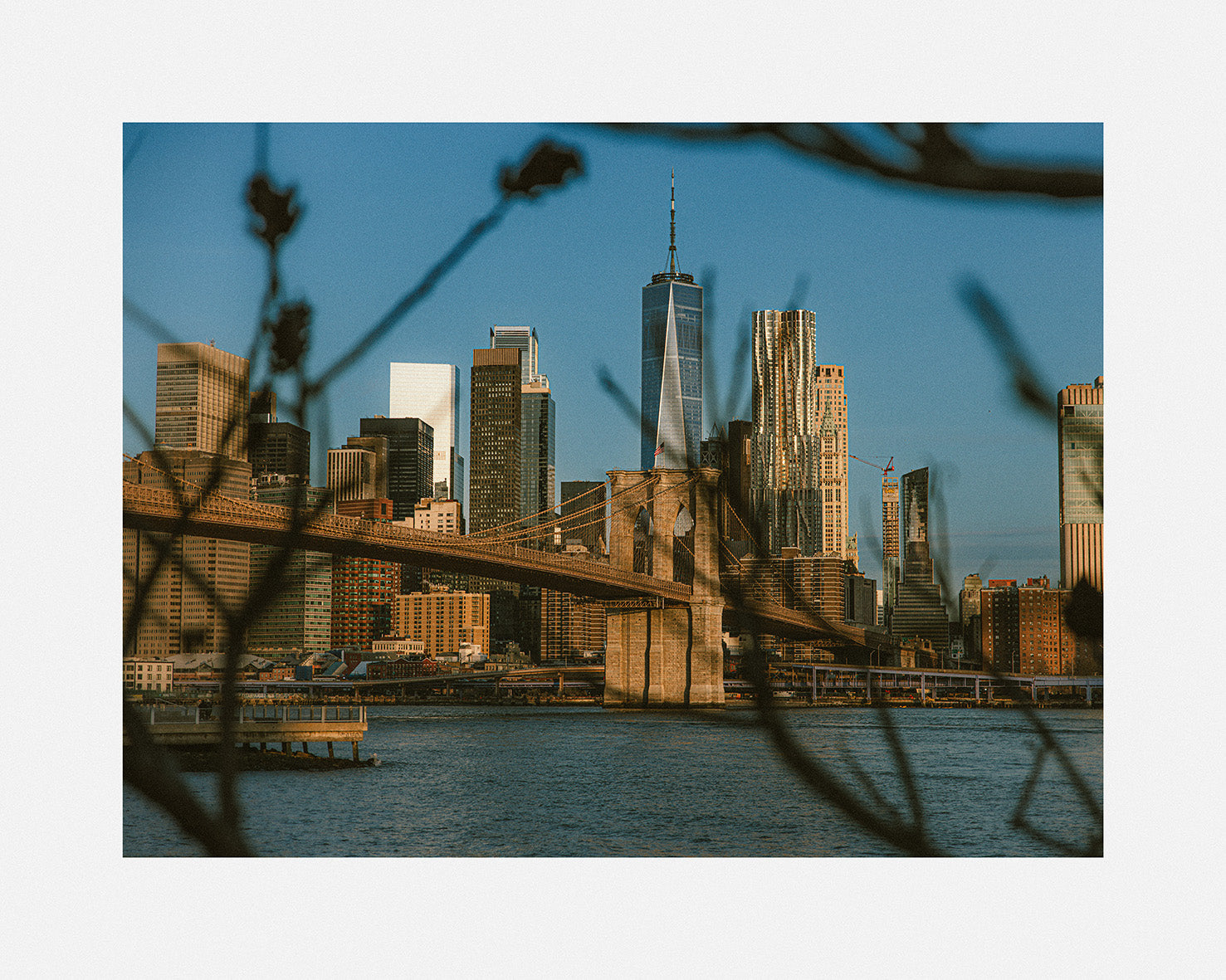 brooklyn bridge mornings