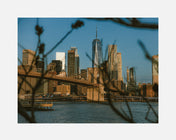 brooklyn bridge mornings