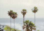 busy coast