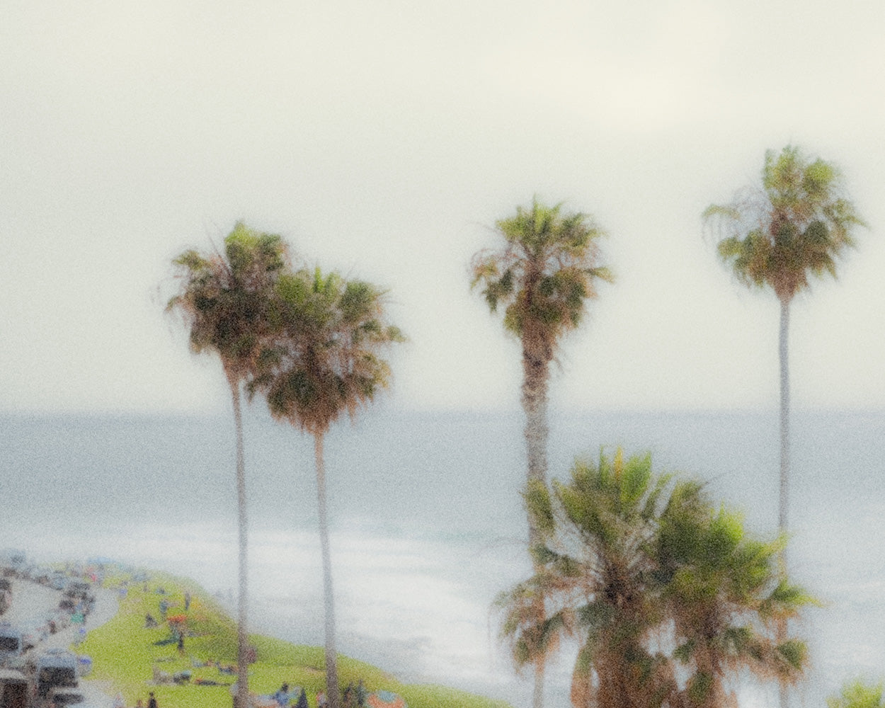 busy coast