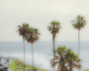 busy coast