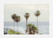busy coast