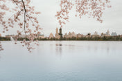 JKO reservoir