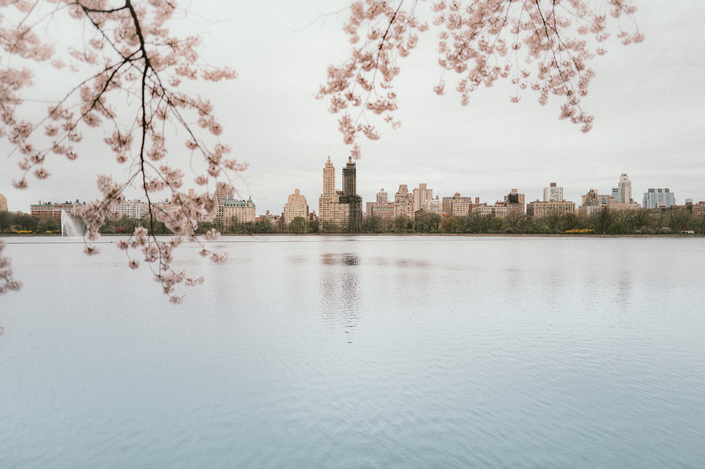 grandcentralparkreservoir_howdysmiles.jpg