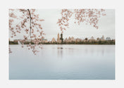 JKO reservoir