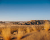 valley view