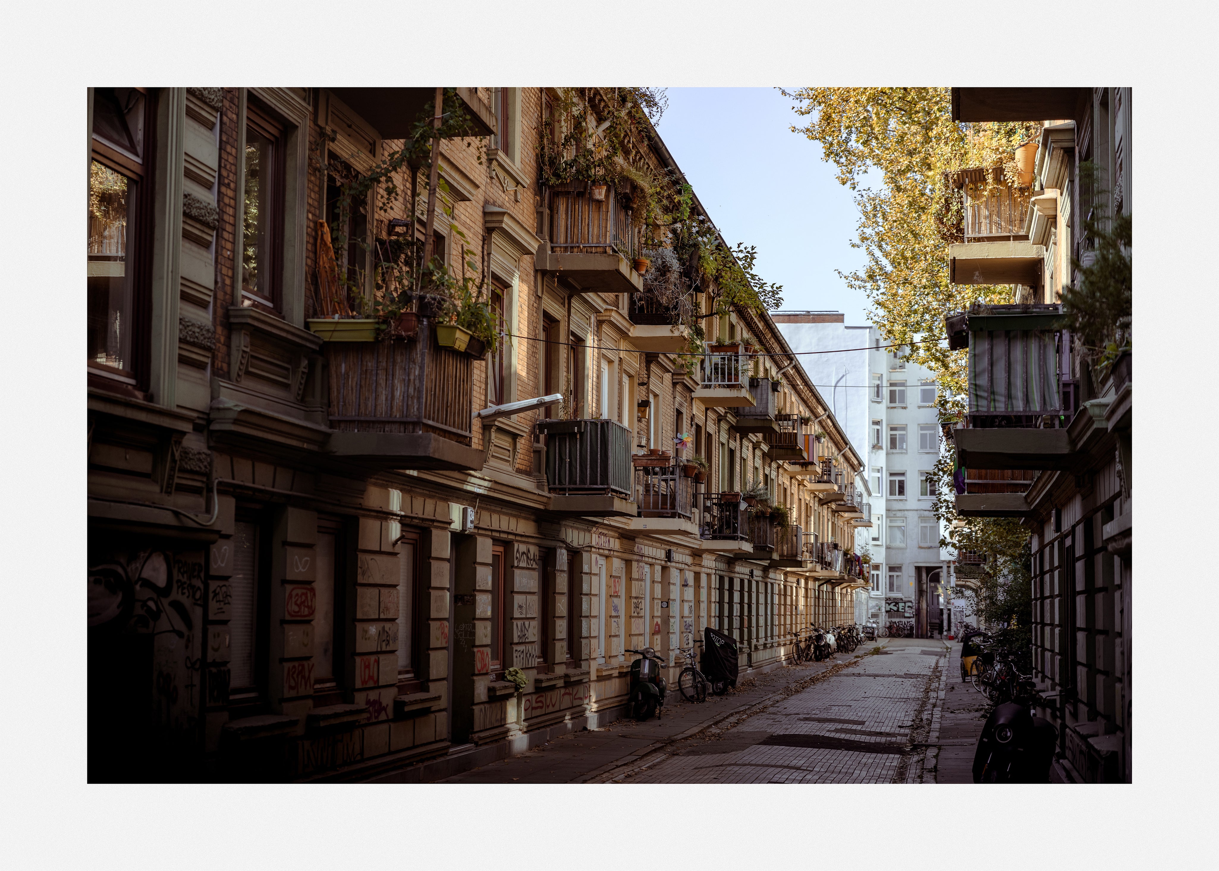 Buy unique art print transforming your space with this limited photograph.