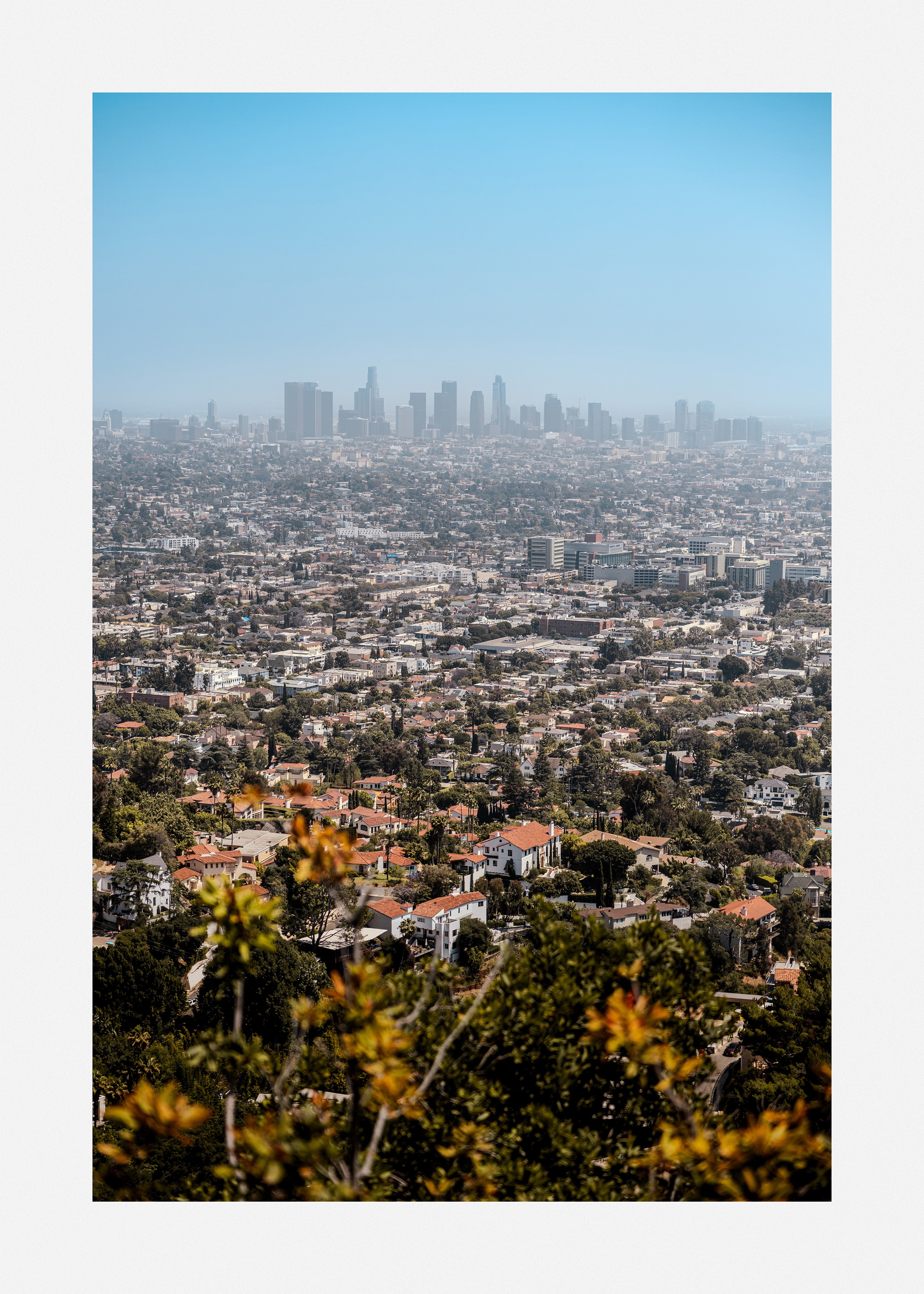 Photography wall art of a city skyline with green suburbs and tree lined streets.