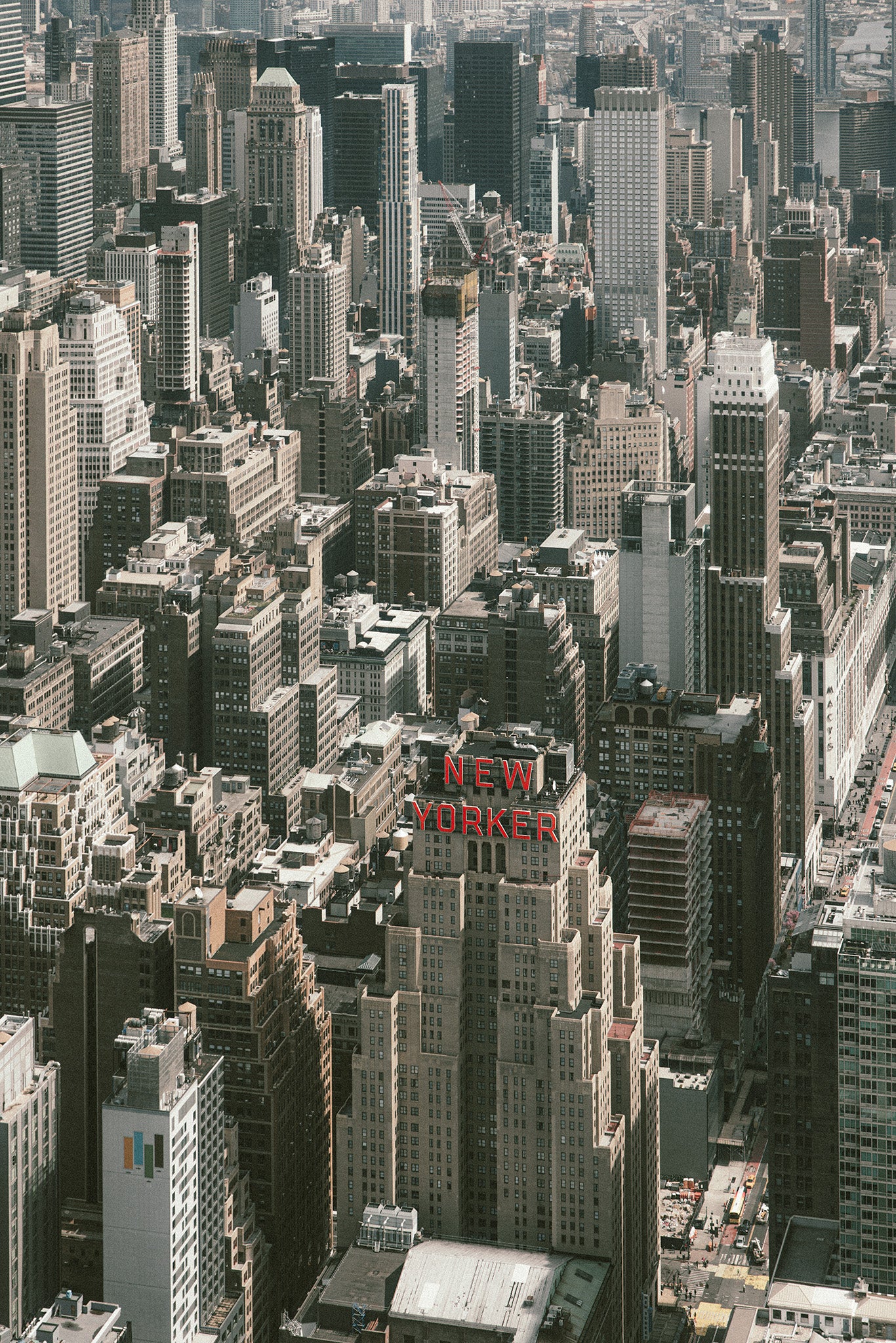 new yorker