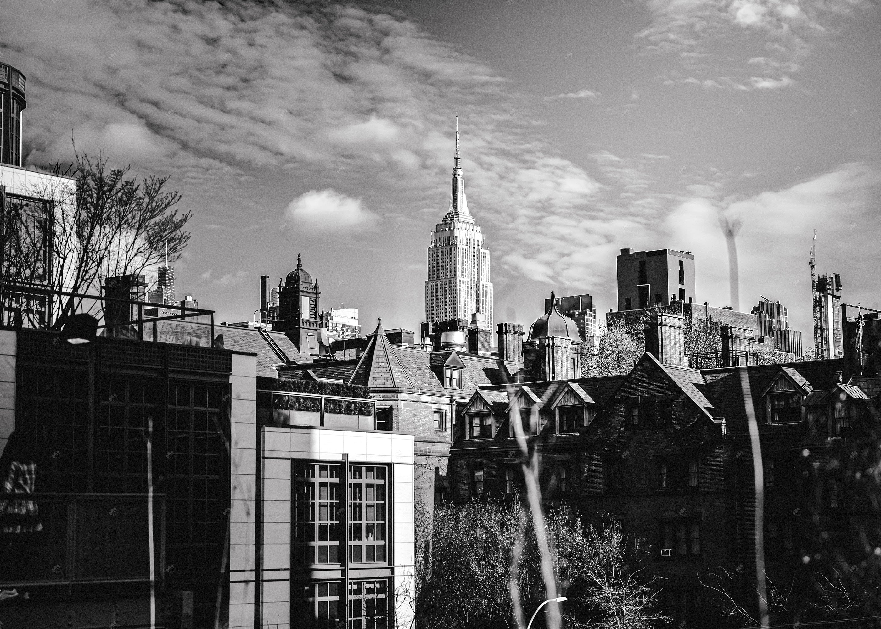 Empire State Building in New York City