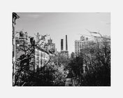 nyc west 22nd st.