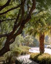 palm springs pedestrian path