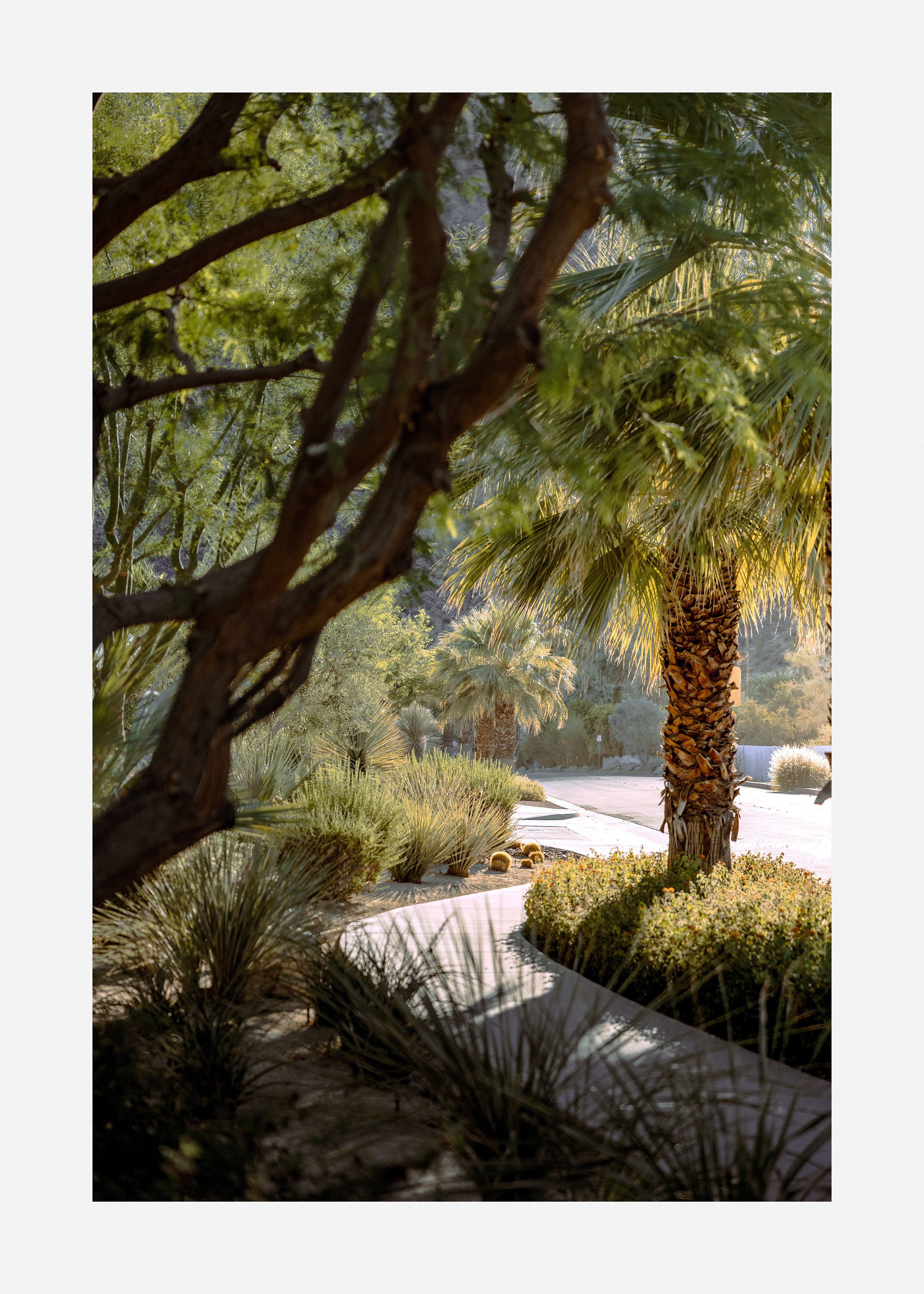 Transform your walls with urban art prints inspired by contemporary street scenes