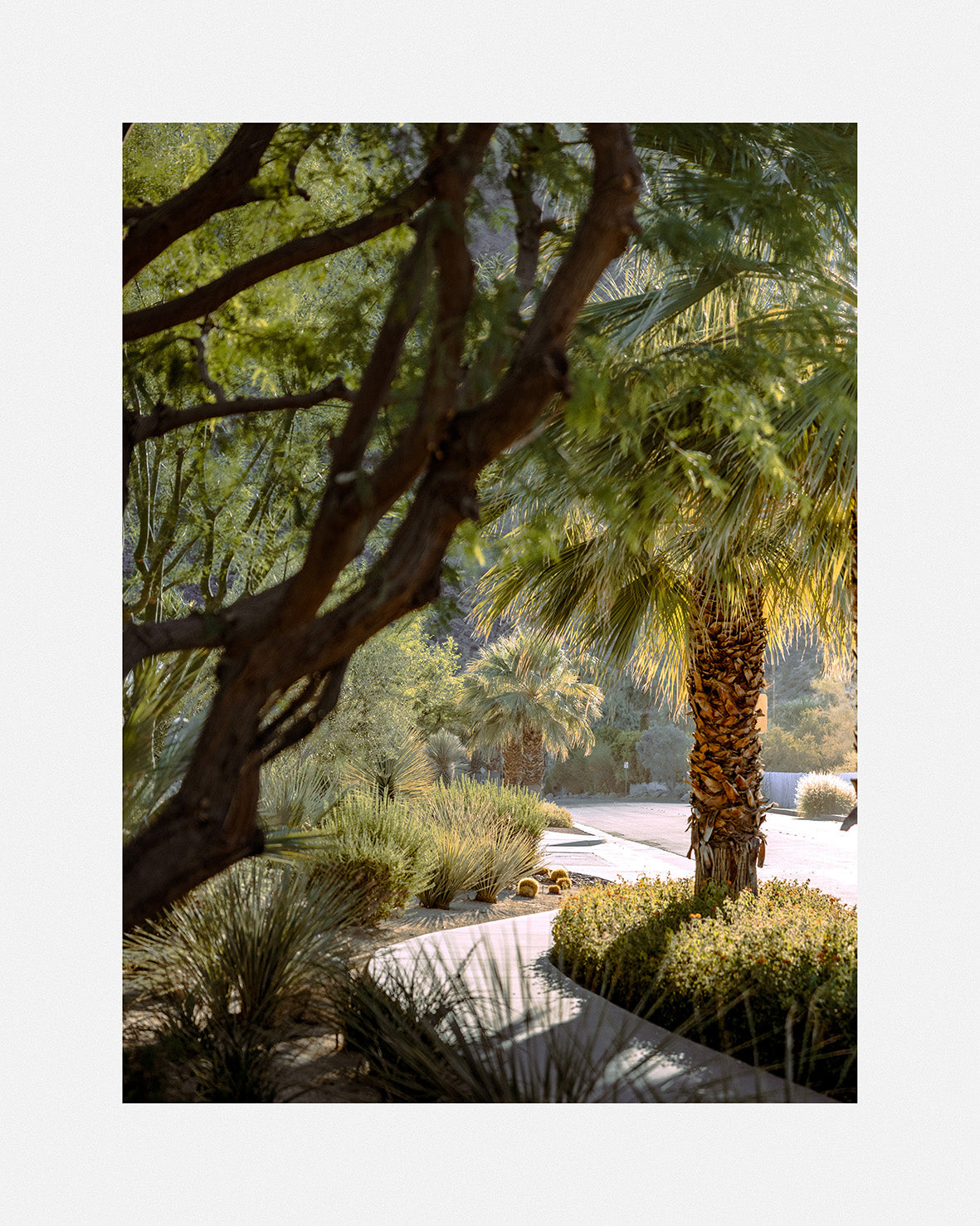 palm springs pedestrian path