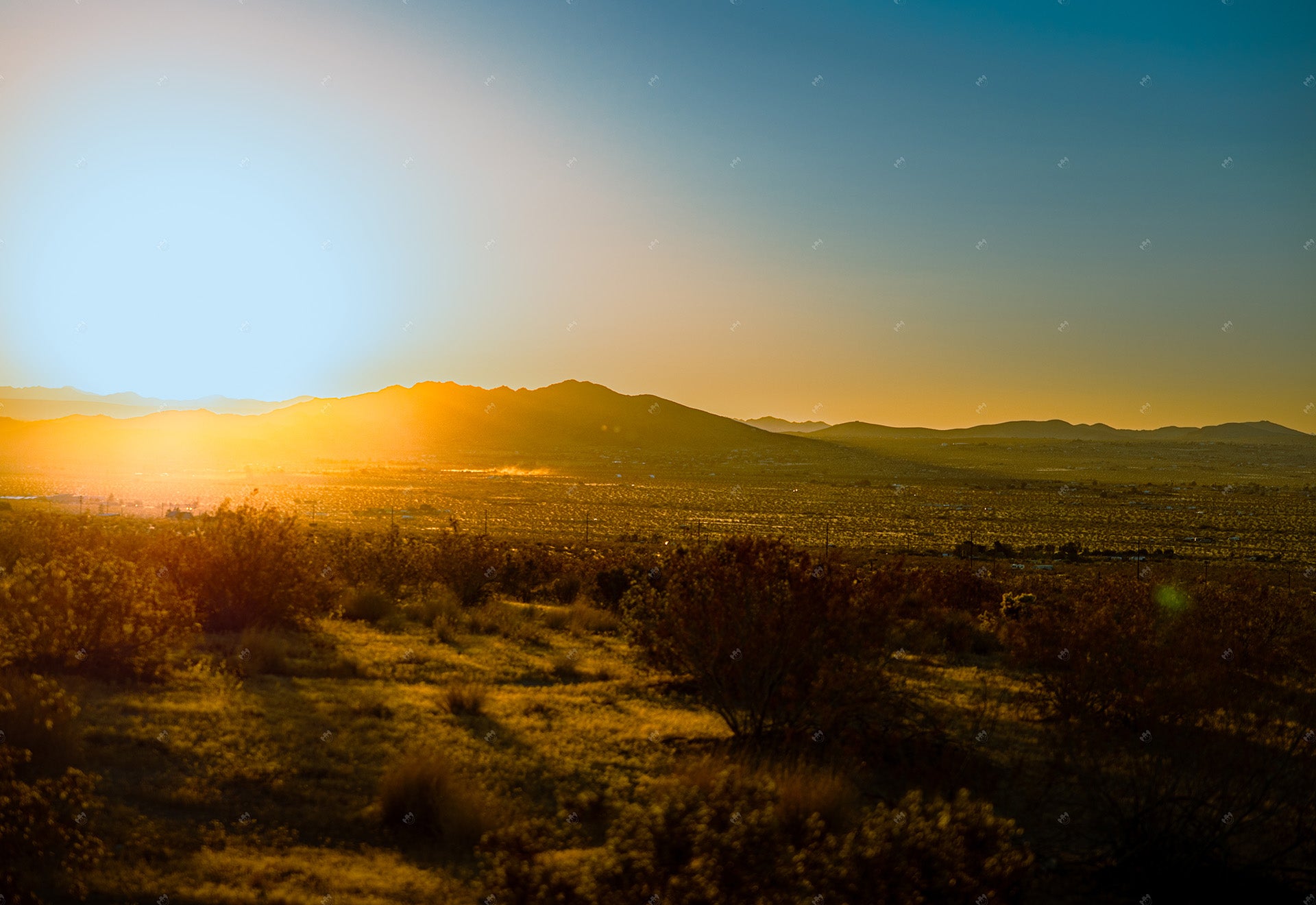 Desert valley at sunset with bushes and prairie.