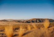 Desert country side with pure mountains in the background.