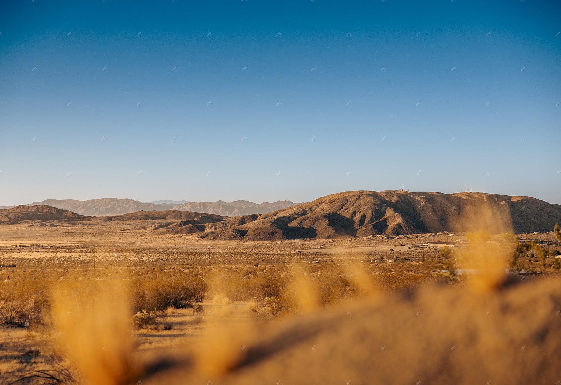 Desert country side with pure mountains in the background.