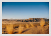 Beautiful art print highlighting desert landscapes and the beauty of vast country life.