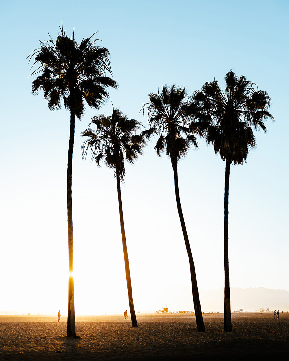 venice beach sunset pt.2